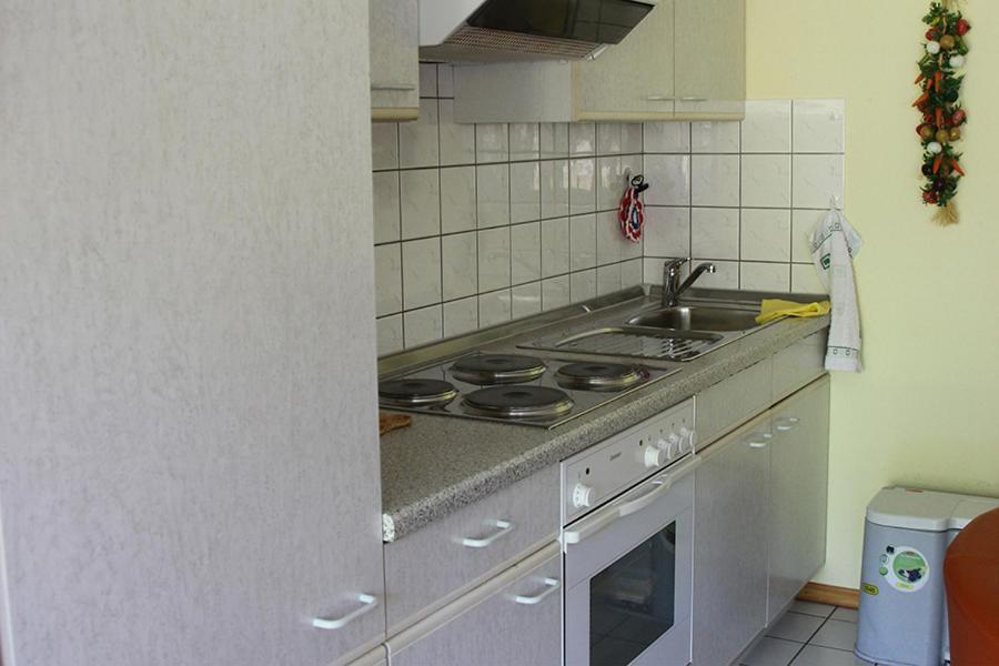 Apartment Baden Baden Haus Am Ibachweg מראה חיצוני תמונה