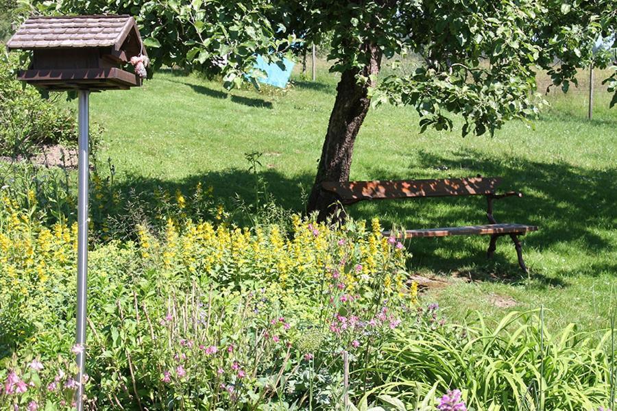 Apartment Baden Baden Haus Am Ibachweg מראה חיצוני תמונה